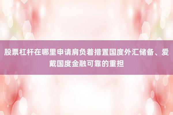 股票杠杆在哪里申请肩负着措置国度外汇储备、爱戴国度金融可靠的重担