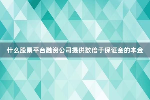 什么股票平台融资公司提供数倍于保证金的本金