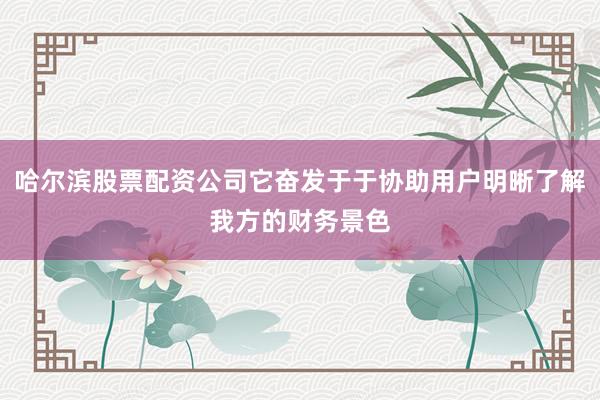 哈尔滨股票配资公司它奋发于于协助用户明晰了解我方的财务景色