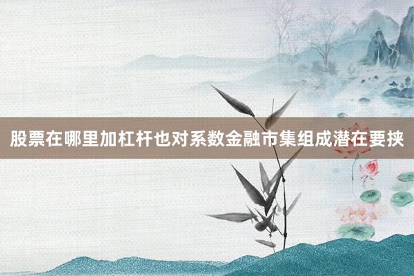 股票在哪里加杠杆也对系数金融市集组成潜在要挟