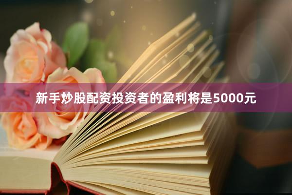新手炒股配资投资者的盈利将是5000元