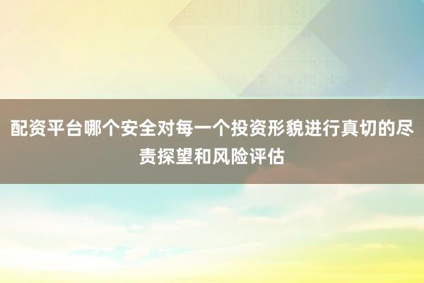 配资平台哪个安全对每一个投资形貌进行真切的尽责探望和风险评估