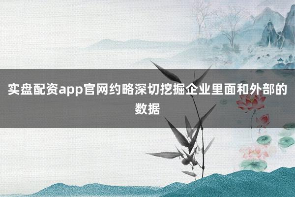 实盘配资app官网约略深切挖掘企业里面和外部的数据