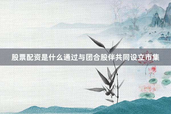 股票配资是什么通过与团合股伴共同设立市集