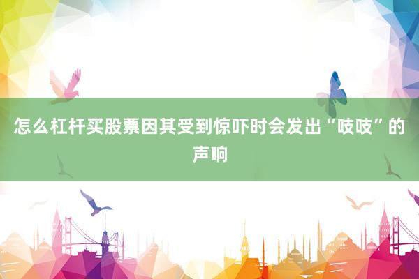 怎么杠杆买股票因其受到惊吓时会发出“吱吱”的声响