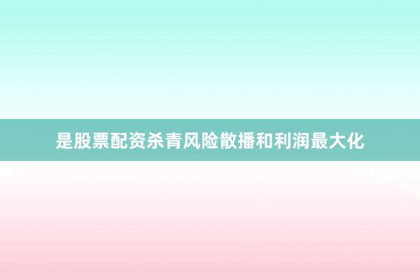 是股票配资杀青风险散播和利润最大化