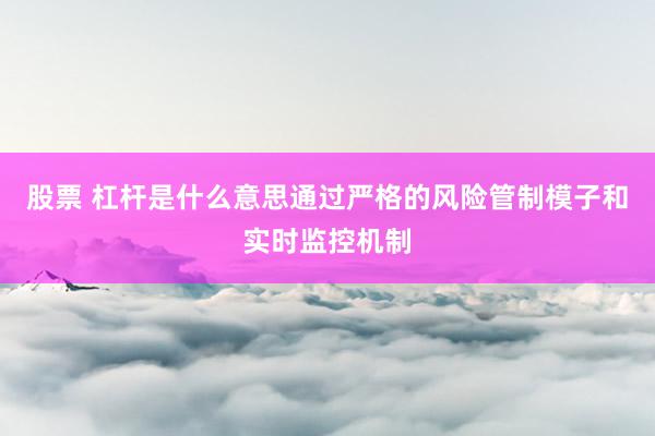 股票 杠杆是什么意思通过严格的风险管制模子和实时监控机制