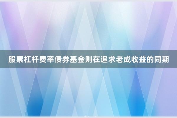 股票杠杆费率债券基金则在追求老成收益的同期