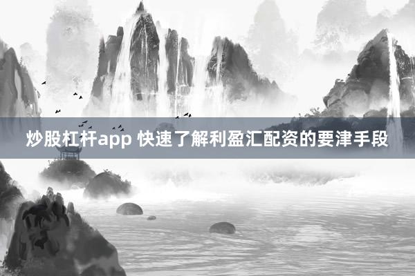 炒股杠杆app 快速了解利盈汇配资的要津手段